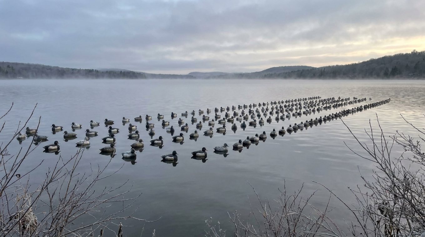 Long lines of diver decoys set in a J-hook on a calm foggy lake at dawn