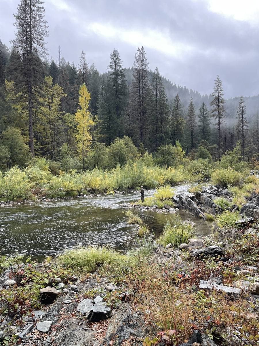 A river canyon in autumn under low mist, one angler standing alone on a gravel bar downstream