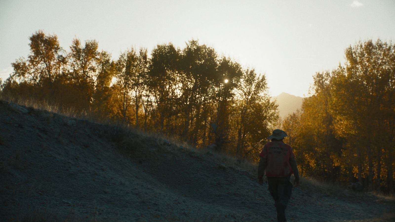 AnyCreek Pricing: The Fee That Hits Every Booking